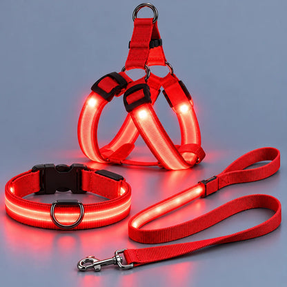 🐶✨ Glow & Go | LED Dog Harness & Leash Set