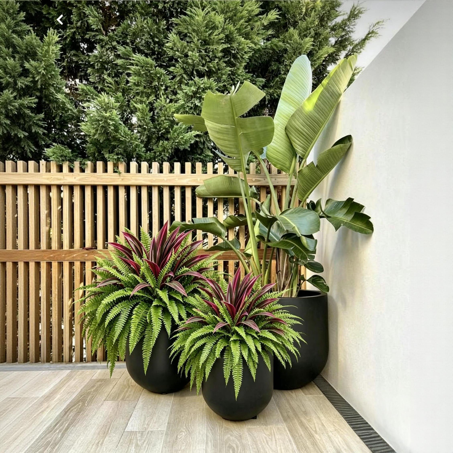 💥Summer Special🔥 48" Large UV-Resistant Artificial Fern & Red Dracaena Decorative Plants – Full, Lush & Fade-Resistant!