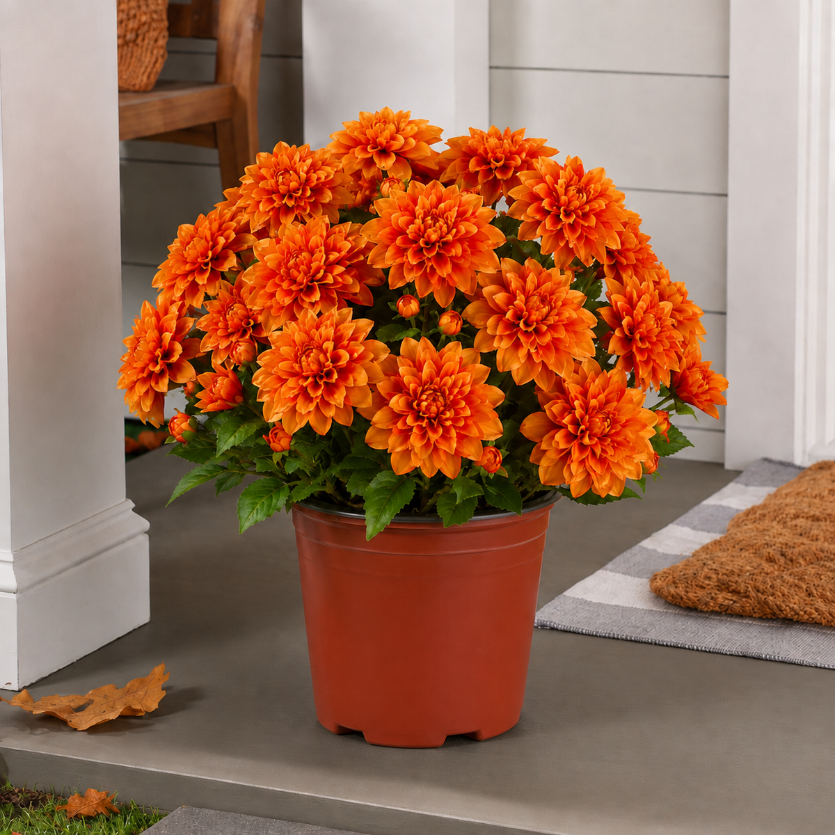 🍂 Last Day 70% OFF — Vibrant Faux Dahlia Fall Porch Planter Filler
