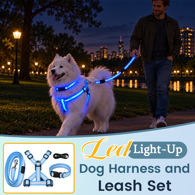 🐶✨ Glow & Go | LED Dog Harness & Leash Set