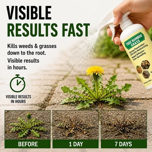 2026 SALE - Fast-ActingNatural Weed & Grass KillerSpray
