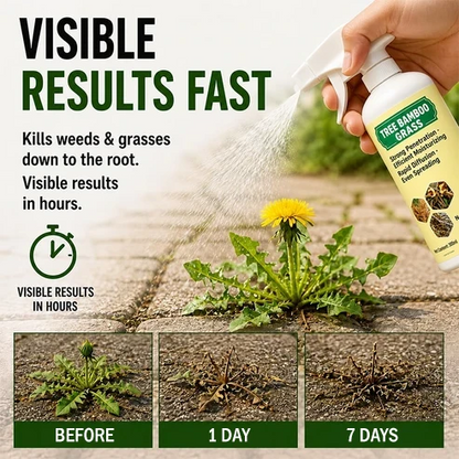 2026 SALE - Fast-ActingNatural Weed & Grass KillerSpray