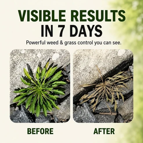 2026 SALE - Fast-ActingNatural Weed & Grass KillerSpray