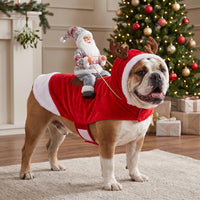Winter Santa