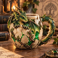 🌲Forest Dragon