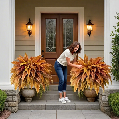 🍂49% OFF Today Only--UV Resistant Lifelike Autumn-colored Artificial Boston Fern🍁