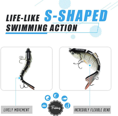 6-Segment Lifelike Fishing Lures🎣