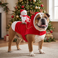 Santa Sleigh