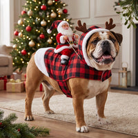 Buffalo Plaid