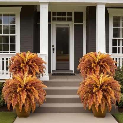 🍂49% OFF Today Only--UV Resistant Lifelike Autumn-colored Artificial Boston Fern🍁
