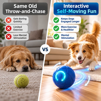 Self-Moving Interactive Dog Ball – USB Rechargeable Pet Toy