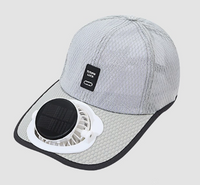 Light Gray