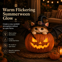 Summerween Lighted Witch Cat Pumpkin Decor with Flickering LED Timer