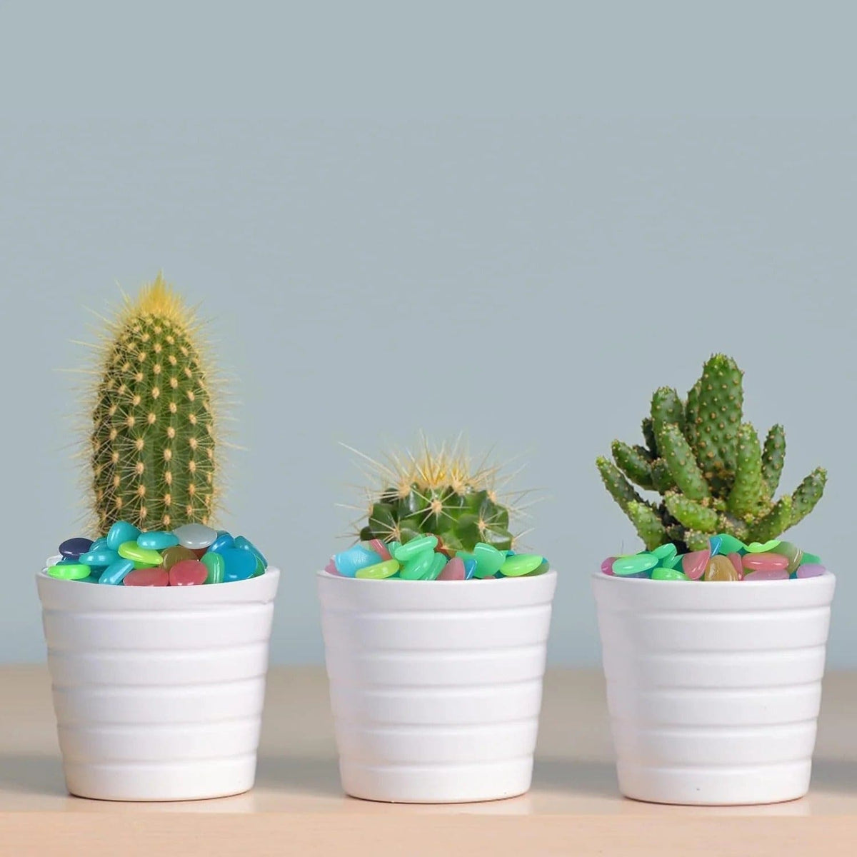✨ Colorful Glow-in-the-Dark Garden Pebbles