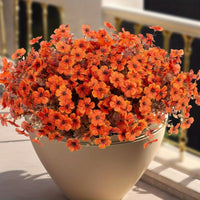 🧡Orange