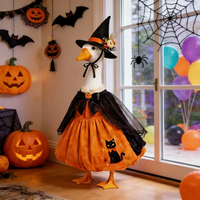 Pumpkin Witch