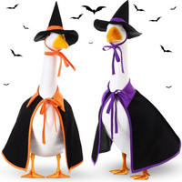Purple Cloak