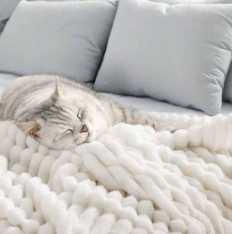 【🎉Final 3-hour Preferential Deal🎉】2025 HOT SALE🏆Popular plush nap blanket