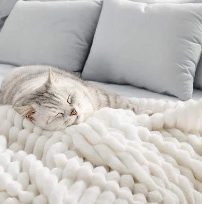 【🎉Final 3-hour Preferential Deal🎉】2025 HOT SALE🏆Popular plush nap blanket