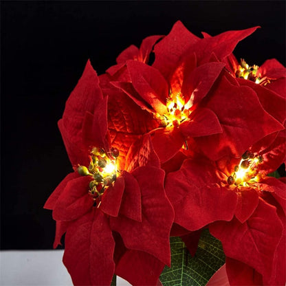 🎄5K+ people purchased it in the past week.✨ Christmas Poinsettia LED Garland String Lights