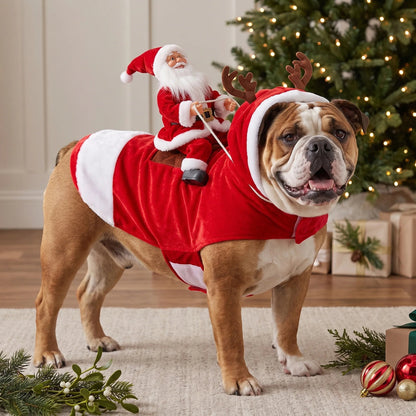 🎅 SantaRider™ Christmas Dog Costume-Turn Your Dog Into Santa’s Funniest Christmas Ride! 🐶🎄