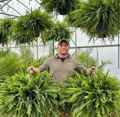 🏆$9.97 On Sale Only Today 🍀 UV-Resistant Lifelike Artificial Boston Fern