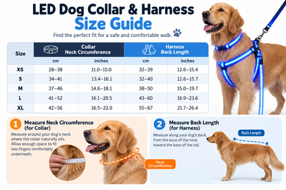 🐶✨ Glow & Go | LED Dog Harness & Leash Set
