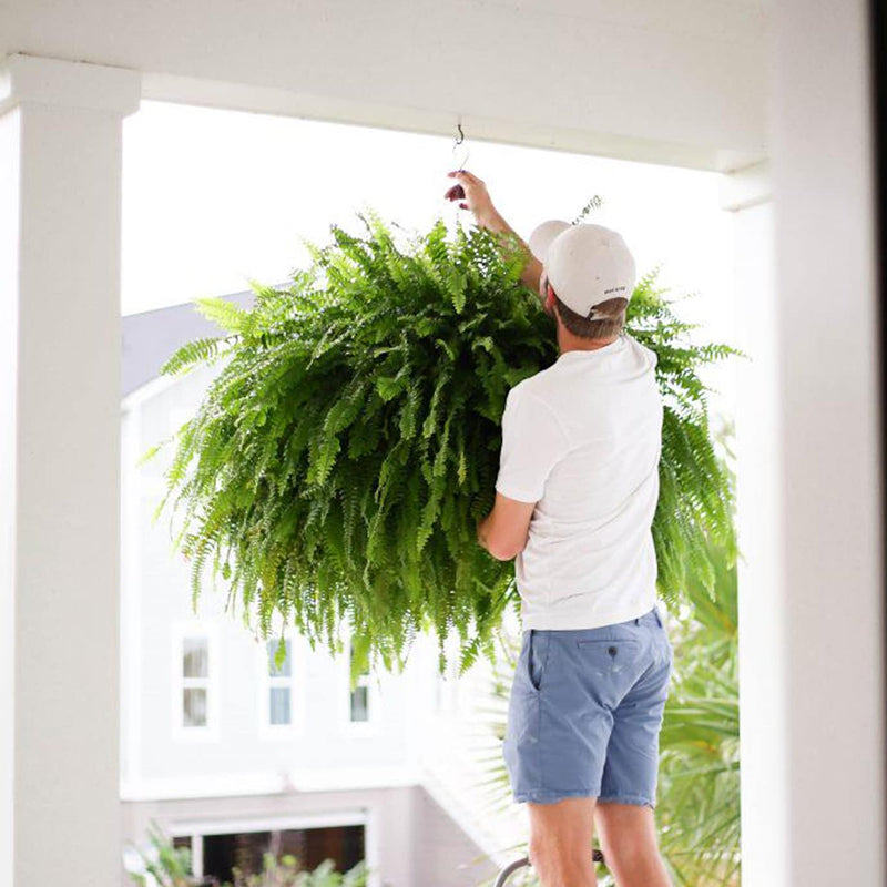 🏆$9.97 On Sale Only Today 🍀 UV-Resistant Lifelike Artificial Boston Fern