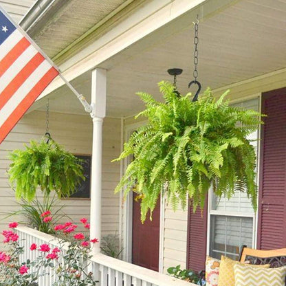 🏆$9.97 On Sale Only Today 🍀 UV-Resistant Lifelike Artificial Boston Fern
