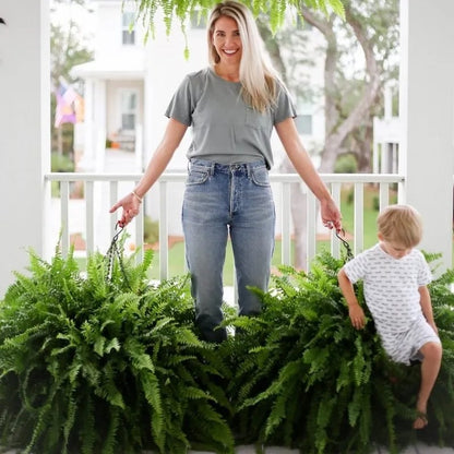 🏆$9.97 On Sale Only Today 🍀 UV-Resistant Lifelike Artificial Boston Fern