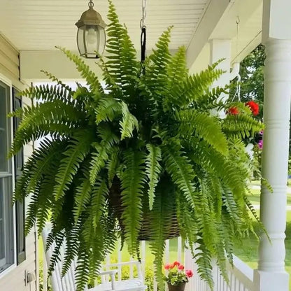 UV Resistant Ferns Artificial Plants Large for Planters, Office & Home Decor, Outdoor & Indoor