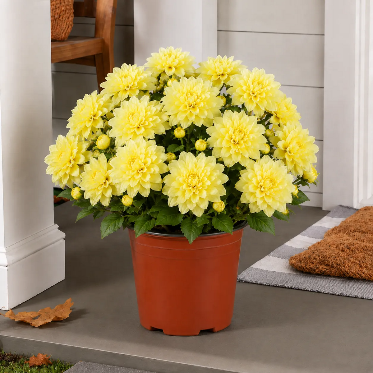 🍂 Last Day 70% OFF — Vibrant Faux Dahlia Fall Porch Planter Filler