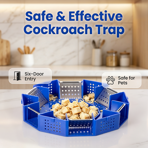 🥳2026 HOT SALE🥳🛡️ 50% OFF! Physical Cockroach Trap – Non‑toxic, six‑door design, no chemicals. Transparent cover for easy monitoring. Safe for homes with kids & pets! 🏠✨