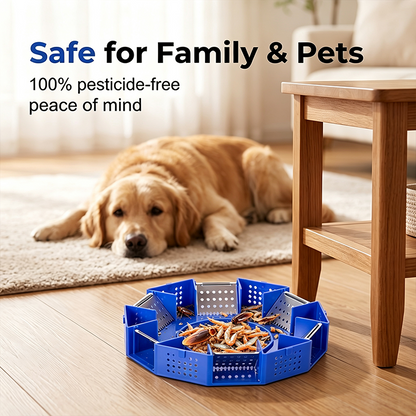 🥳2026 HOT SALE🥳🛡️ 50% OFF! Physical Cockroach Trap – Non‑toxic, six‑door design, no chemicals. Transparent cover for easy monitoring. Safe for homes with kids & pets! 🏠✨