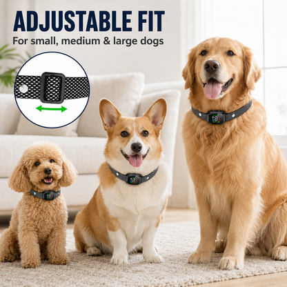 🐕2026 HOT SALE🥳 Anti Bark Collar – Smart anti‑false triggering filters out other barks. IP67 waterproof & USB rechargeable – worry‑free training anywhere! 💦✅