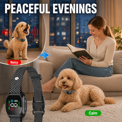 🐕2026 HOT SALE🥳 Anti Bark Collar – Smart anti‑false triggering filters out other barks. IP67 waterproof & USB rechargeable – worry‑free training anywhere! 💦✅